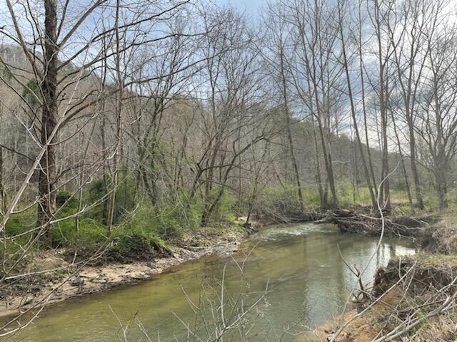Photo #2: 0 Spruce Pine