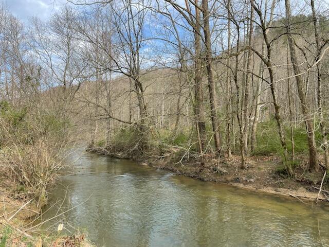 Photo #1: 0 Spruce Pine