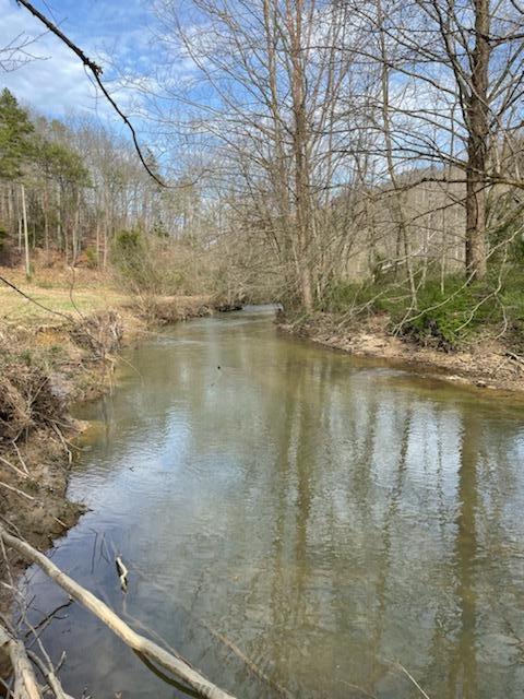 Photo #1: 0 Spruce Pine