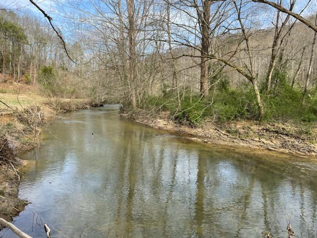 Photo #4: 0 Spruce Pine