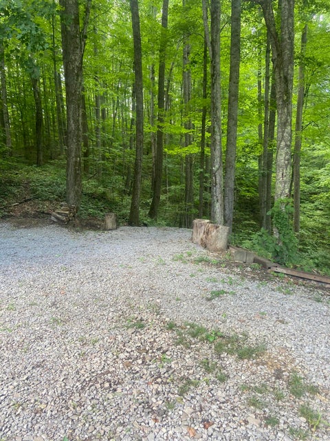 Photo #35: 1554 Hamner Hollow Road Road