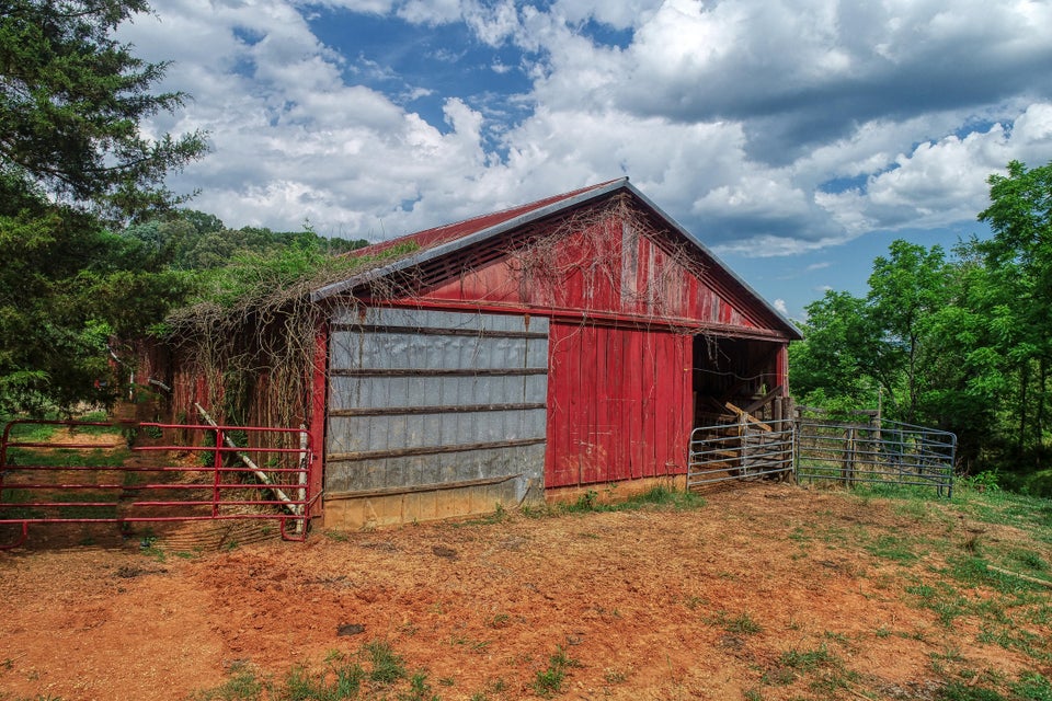 Photo #20: 3535 Highway 66