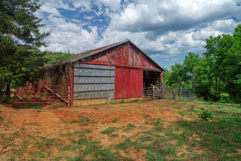 Photo #22: 3535 Highway 66