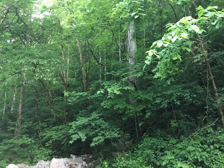 Photo #1: 00 Black Sheep Hollow Road