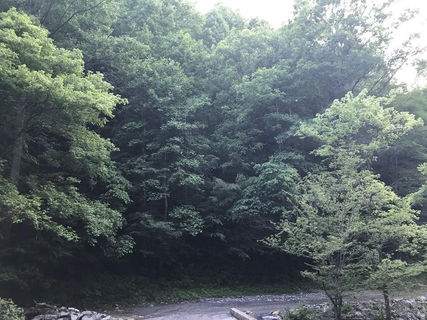 Photo #2: 00 Black Sheep Hollow Road