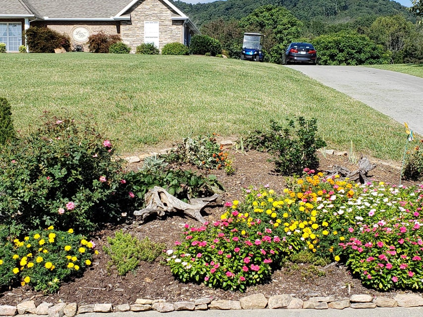 Photo #23: 9043 Paradise View Drive