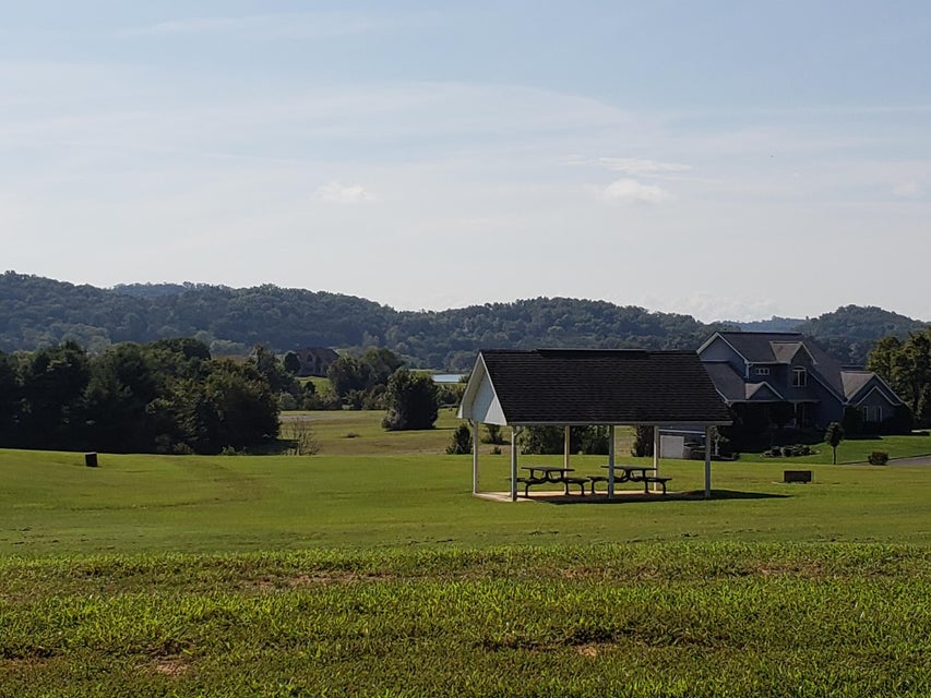 Photo #26: 9043 Paradise View Drive