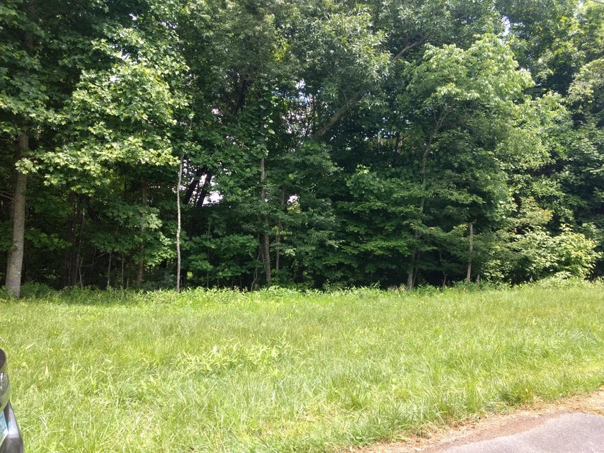 Photo #4: 5244 Callalantee Drive
