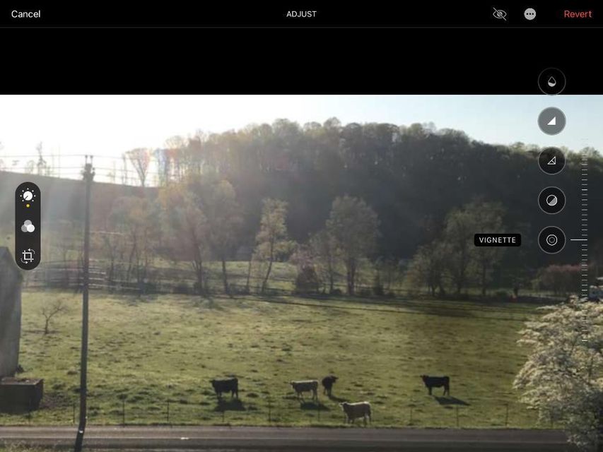 Photo #2: 1503 Gap Creek Road