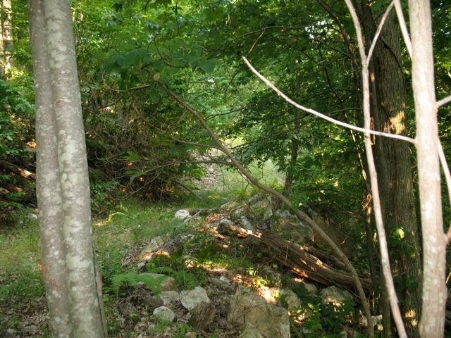 Photo #4: Tbd Iroquois Road