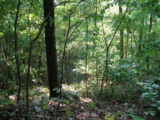 Photo #5: Tbd Iroquois Road