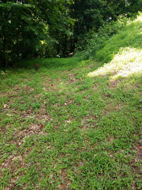 Photo #8: Tbd Iroquois Road