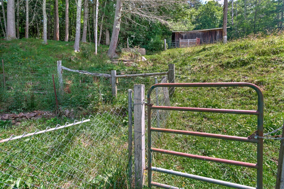 Photo #12: 554 Sprucey Lane