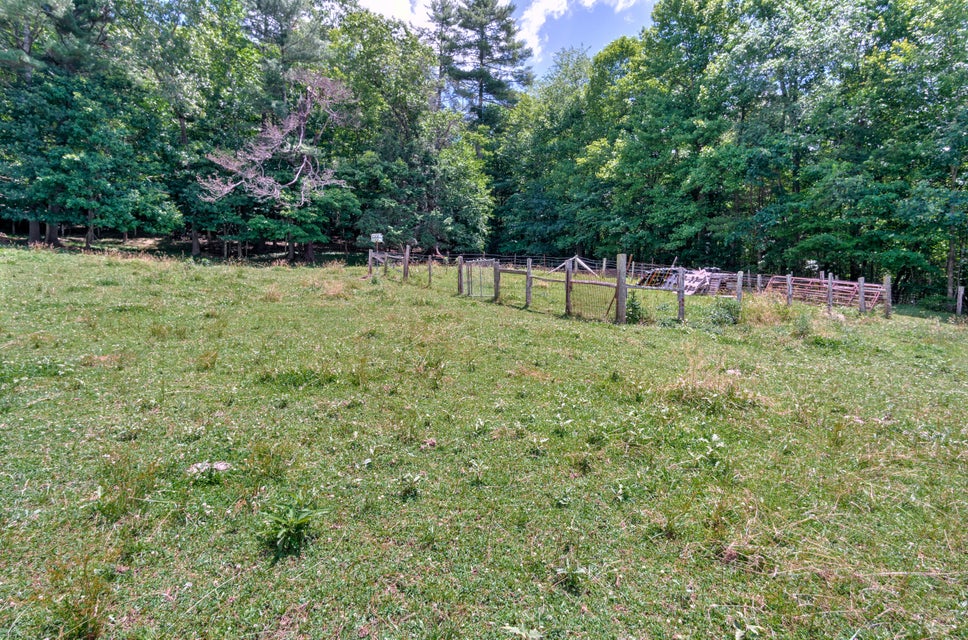 Photo #23: 554 Sprucey Lane