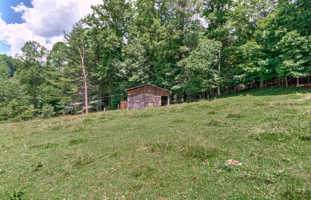 Photo #24: 554 Sprucey Lane