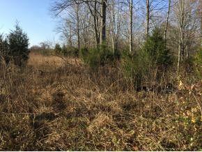Photo #10: 108 Airport Road / Hwy 75