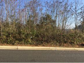 Photo #5: 108 Airport Road / Hwy 75