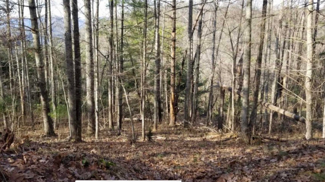 Photo #4: 150 Watauga Overlook Drive