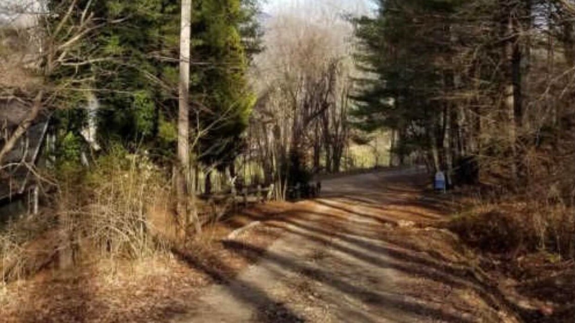Photo #10: 150 Watauga Overlook Drive