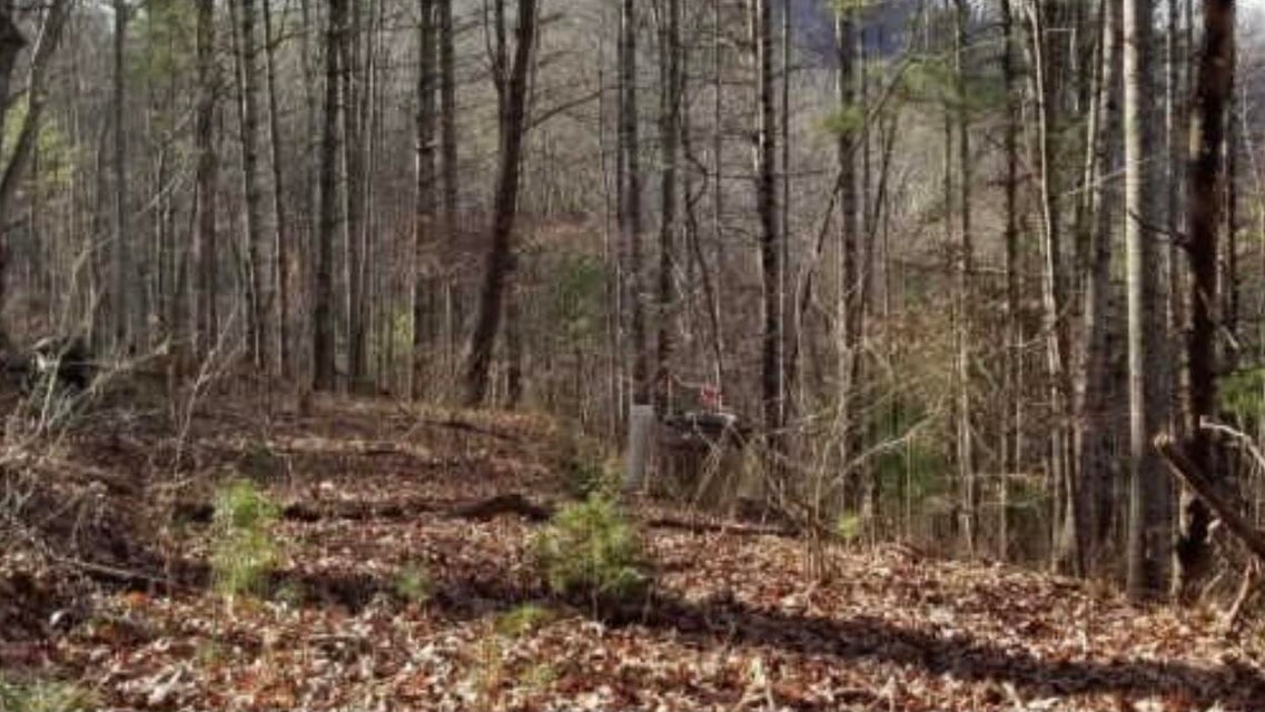 Photo #1: 150 Watauga Overlook Drive