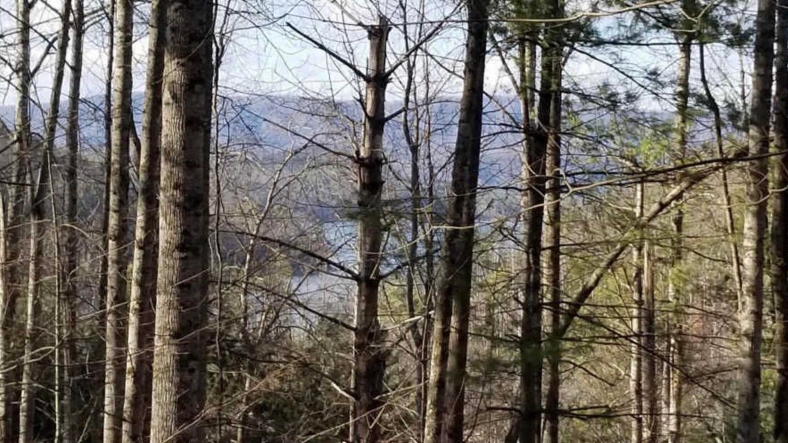 Photo #6: 150 Watauga Overlook Drive