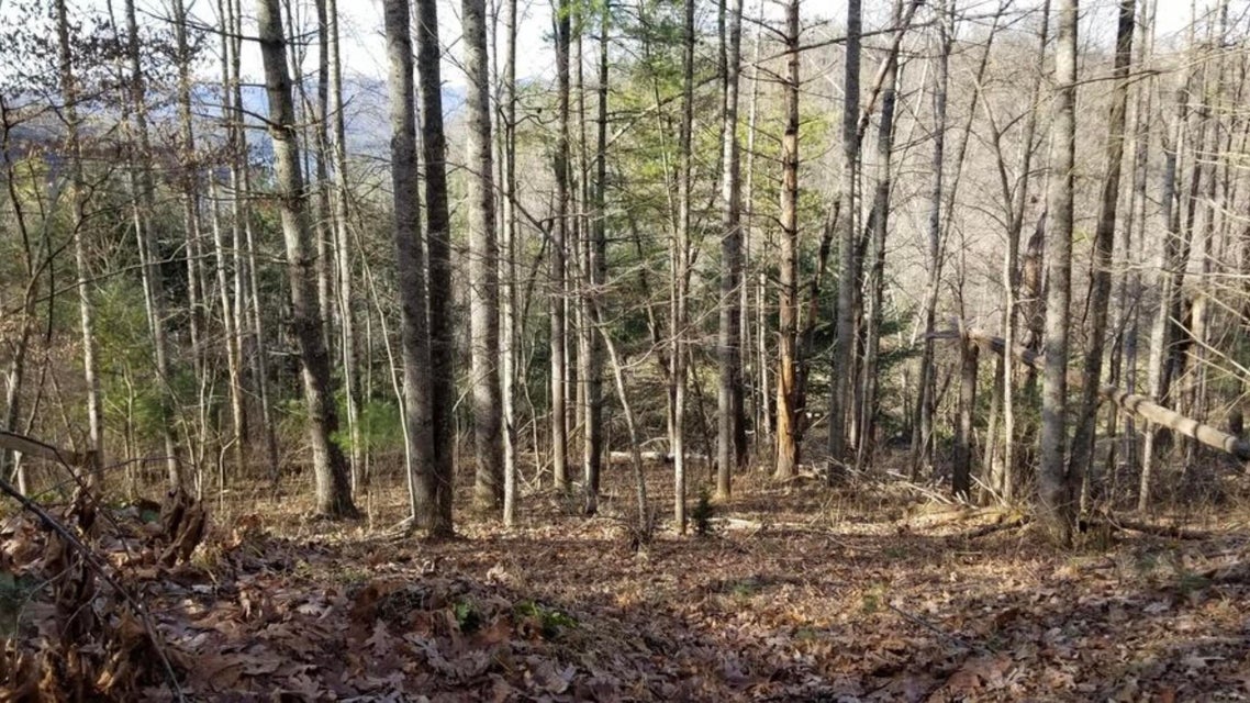 Photo #7: 150 Watauga Overlook Drive
