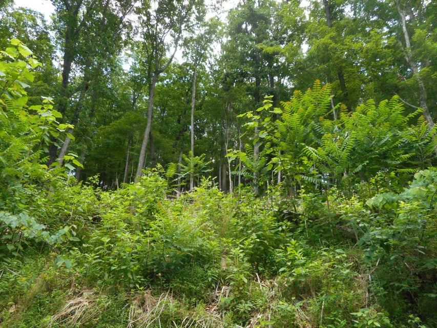 Photo #3: Tbd Whispering Pines Road