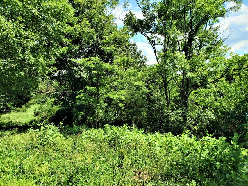 Photo #7: 145 Grigsby Road