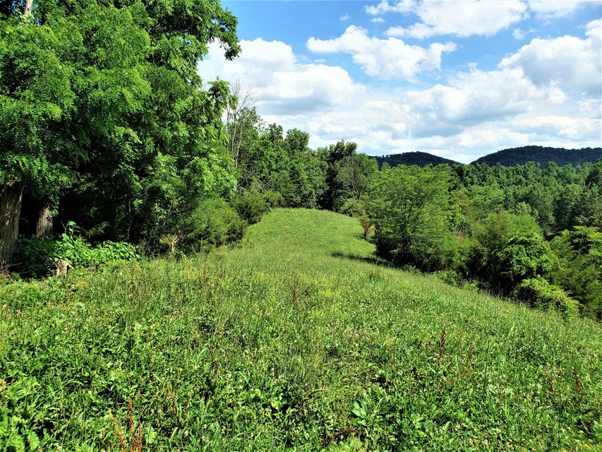 Photo #3: 145 Grigsby Road