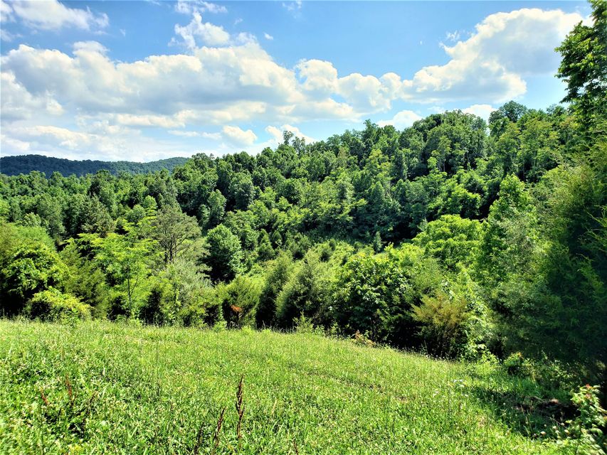 Photo #4: 145 Grigsby Road