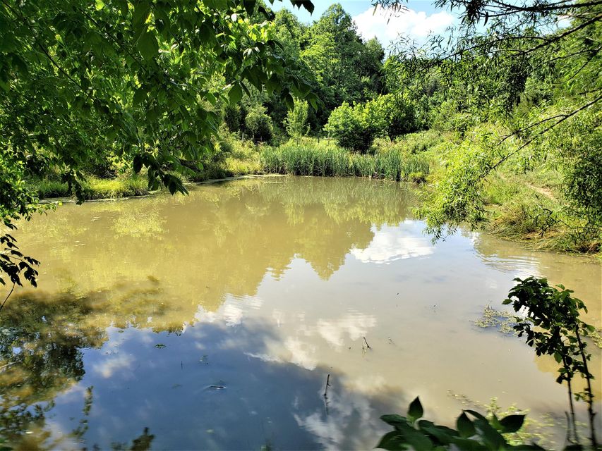 Photo #5: 145 Grigsby Road
