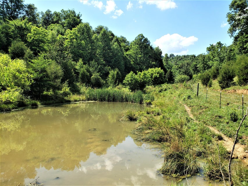 Photo #9: 145 Grigsby Road
