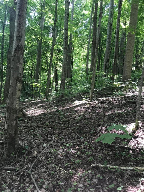 Photo #6: 0-0 Of Old Church Loop Road