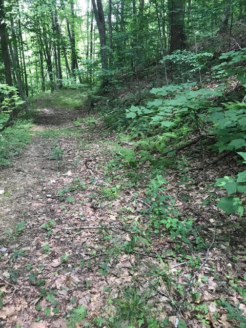 Photo #1: 0-0 Of Old Church Loop Road