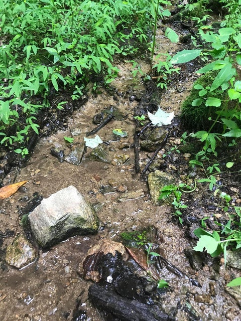 Photo #2: 0-0 Of Old Church Loop Road