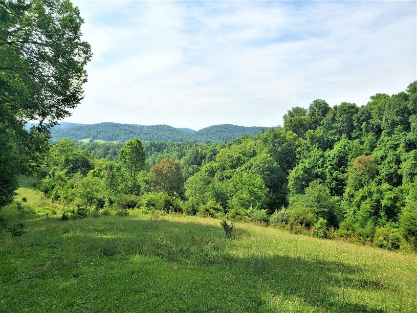 Photo #16: 145 Grigsby Road