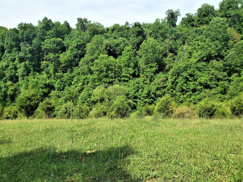 Photo #17: 145 Grigsby Road