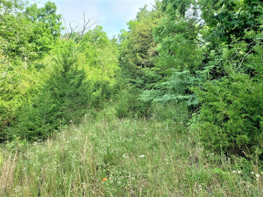 Photo #18: 145 Grigsby Road