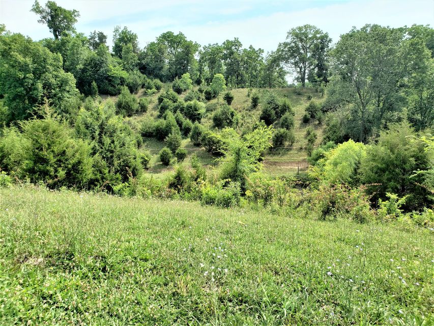 Photo #19: 145 Grigsby Road