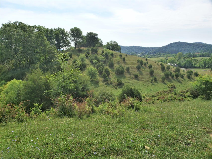 Photo #20: 145 Grigsby Road