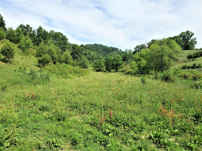 Photo #22: 145 Grigsby Road