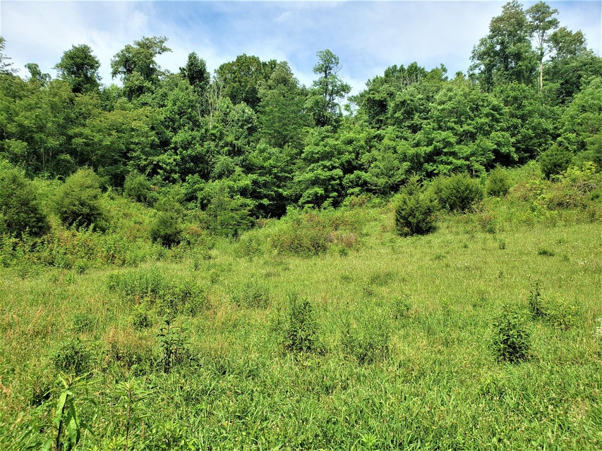 Photo #23: 145 Grigsby Road