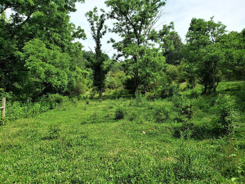 Photo #27: 145 Grigsby Road
