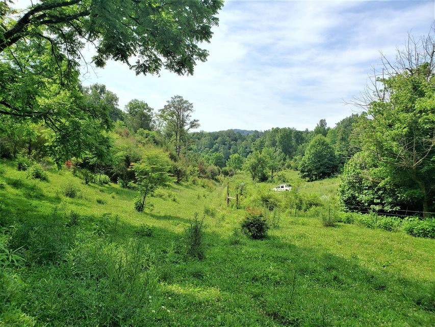 Photo #28: 145 Grigsby Road