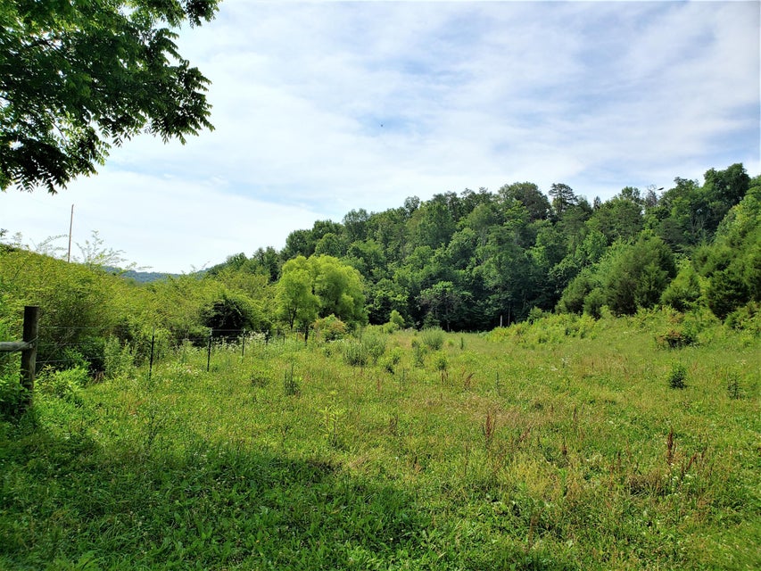 Photo #29: 145 Grigsby Road