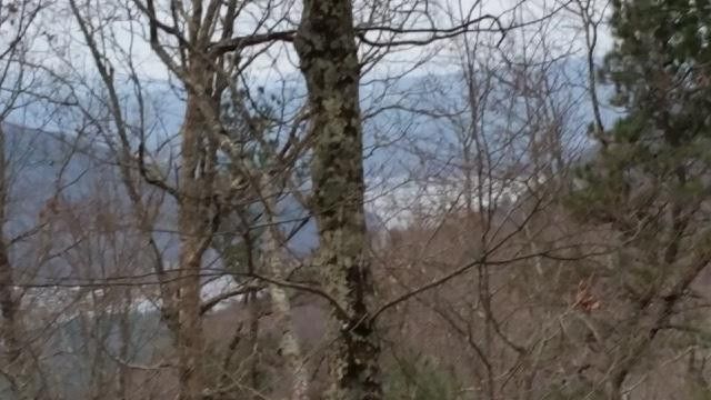 Photo #2: Tbd Old Cabin Road