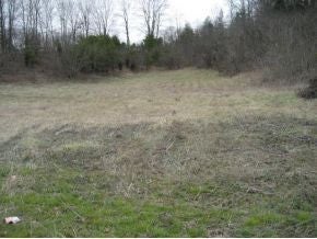 Photo #6: 0 Lynn Garden Drive