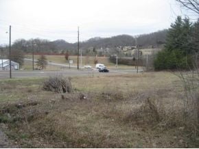Photo #9: 0 Lynn Garden Drive