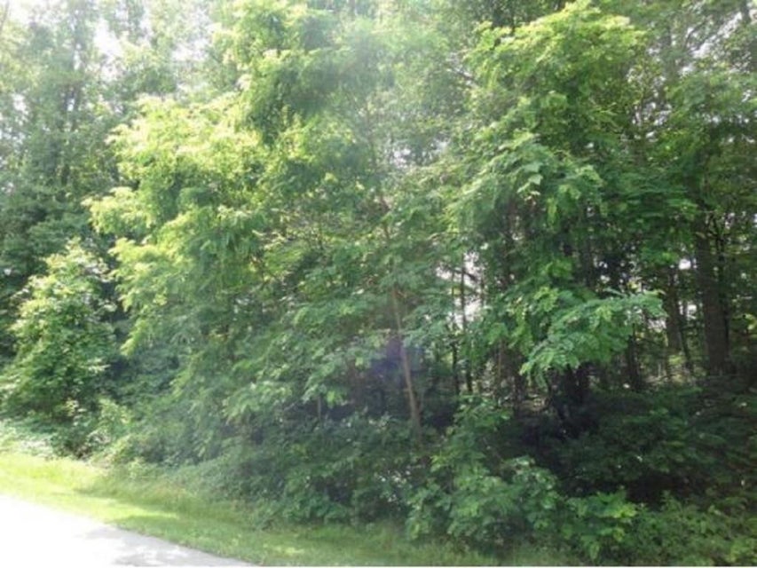 Photo #1: Tbd Highlands Trail