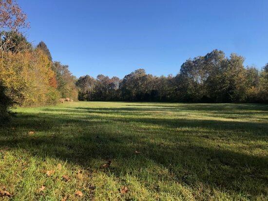 Photo #2: Tbd Wesley Chapel Road